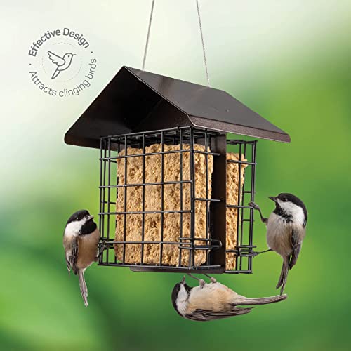 Double Capacity Suet Bird Feeder with Hanging Roof