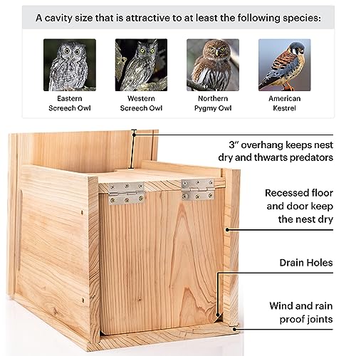 Large Cedar Owl House - Weatherproof Nesting Box
