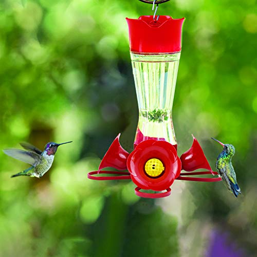 Perky-Pet Glass Hummingbird Feeder with Ant Moat