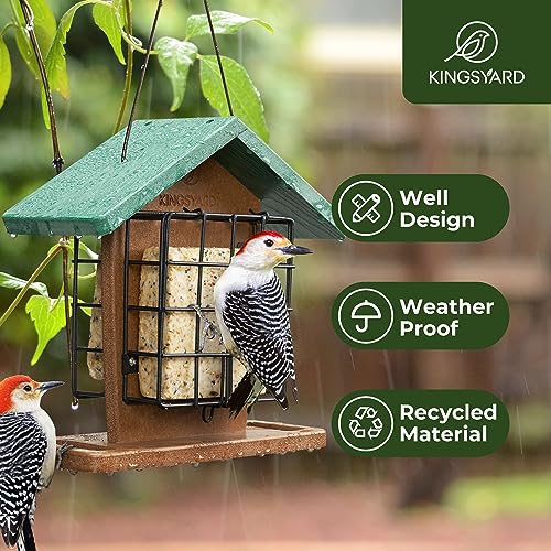 Recycled Plastic Double Suet Bird Feeder, Green