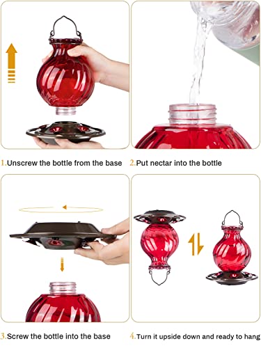 Red Glass Hummingbird Feeder with 5 Feeding Ports
