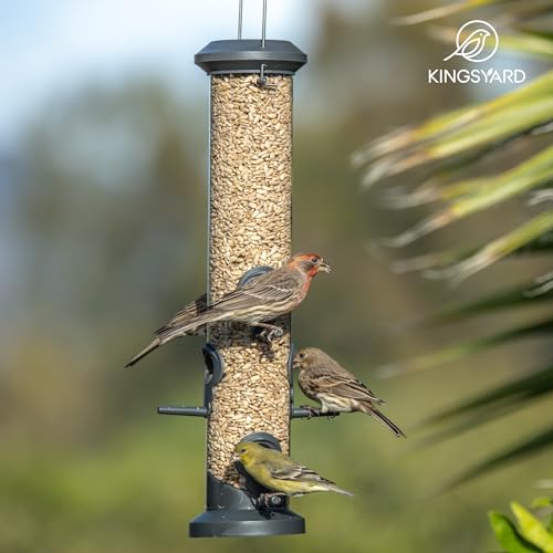 Kingsyard 2X Bird Feeder with 6 Perches
