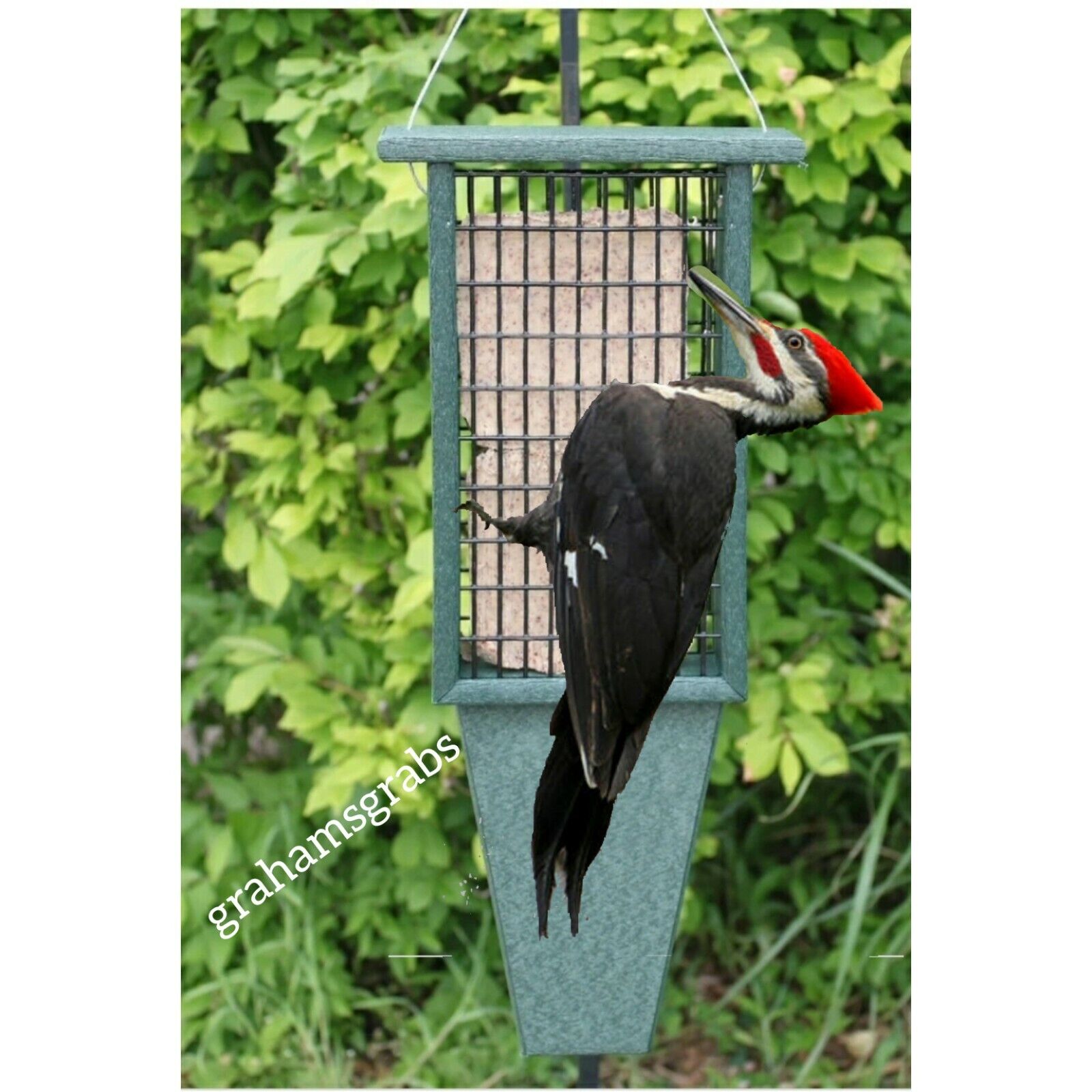 Double Suet Bird Feeder for Pileated Woodpeckers