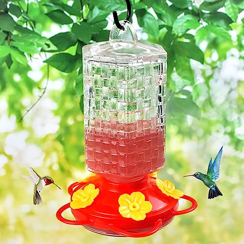 JALAMWANG 15 oz Glass Hummingbird Feeder with Ant Moat