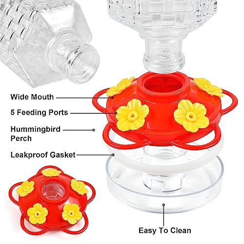JALAMWANG 15 oz Glass Hummingbird Feeder with Ant Moat