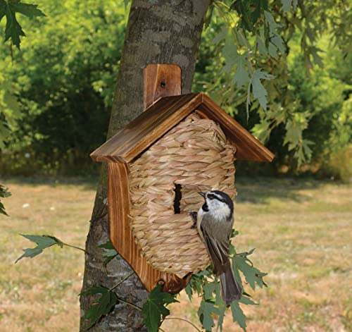 Songbird Essentials Hanging Grass Roosting Pocket House