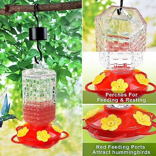JALAMWANG 15 oz Glass Hummingbird Feeder with Ant Moat