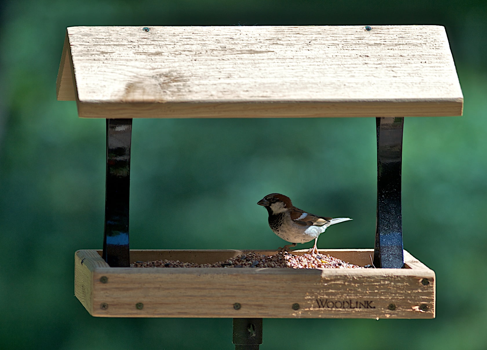 Cedar and Metal Platform Bird Feeder