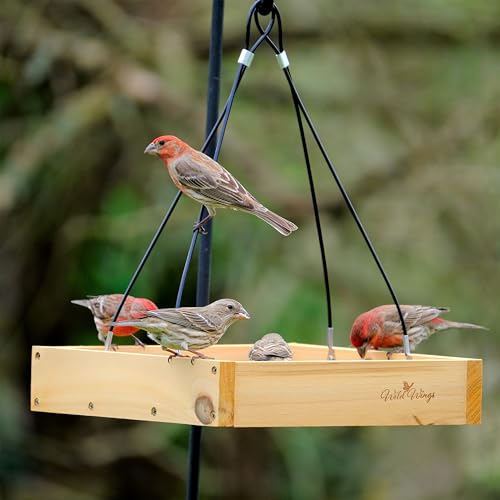 Cedar Wood Bird Feeder by Wild Wings