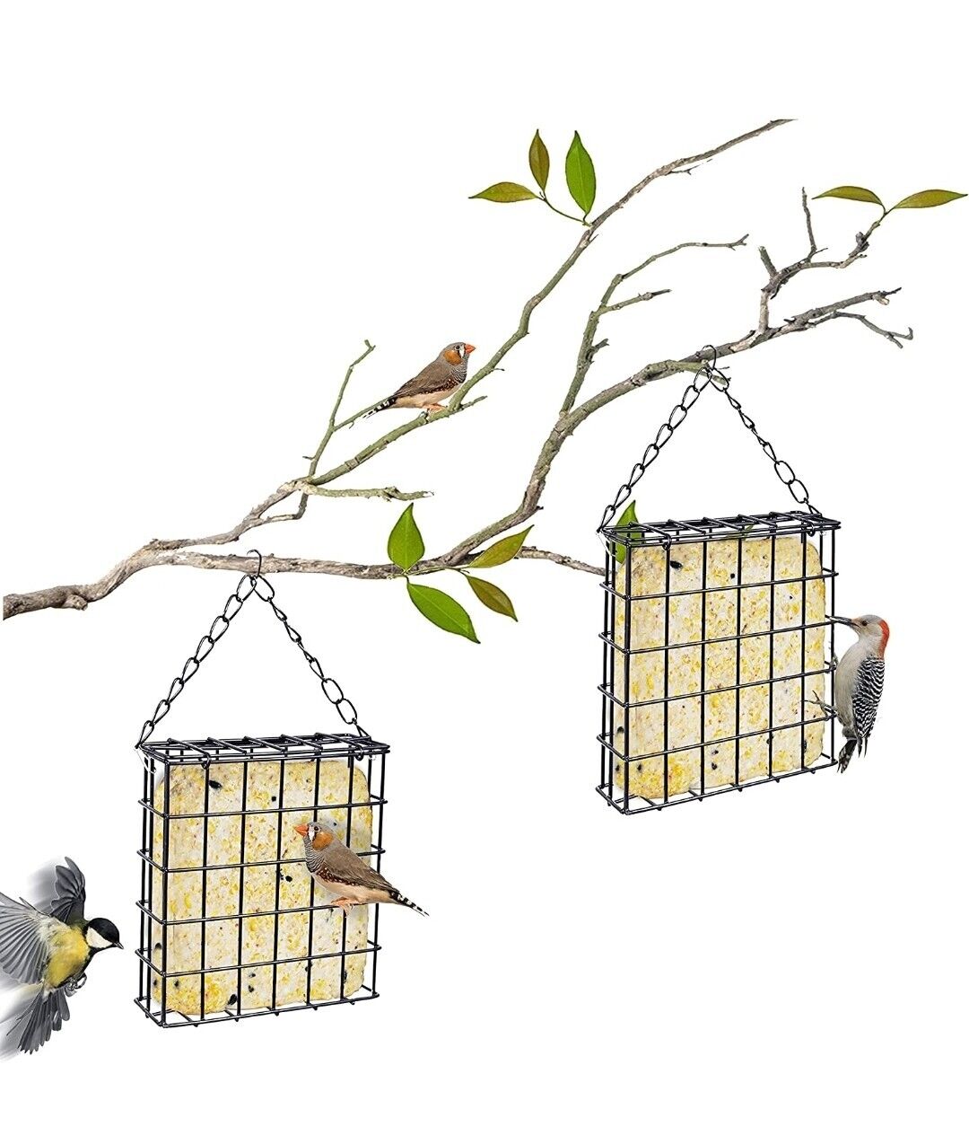 2 Pack Hanging Suet Bird Feeders for Outdoors