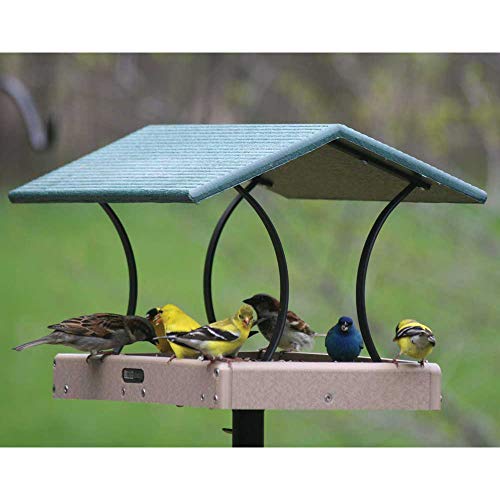 Birds Choice 18x12 Fly-Through Bird Feeder
