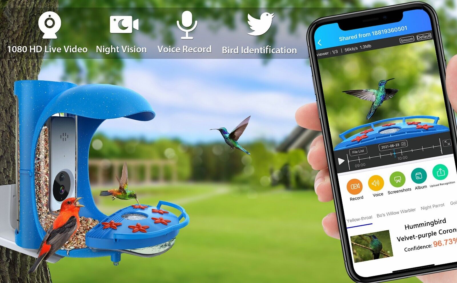 Smart Hummingbird Feeder with Camera and AI