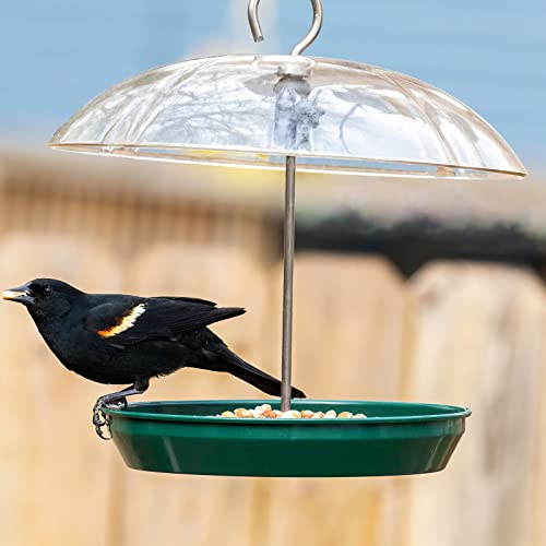 Kingsyard Adjustable Metal Bird Feeder with Dome