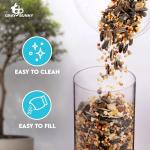 Classic Metal Bird Feeder with 6 Feeding Ports