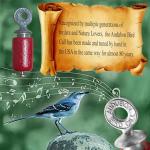 Audubon Bird Call Toy for Attracting Birds