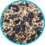 Pennington Black Oil Sunflower Seed Bird Feed