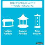 Pennington Black Oil Sunflower Seed Bird Feed