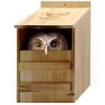 Cedar Owl House Nesting Box - Fully Assembled
