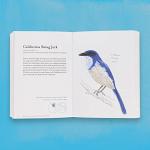 Dumb Birds Field Guide for Bird Lovers