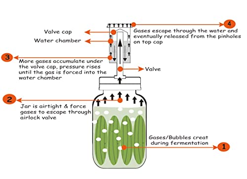 Stainless Steel Lids for Wide Mouth Mason Jars