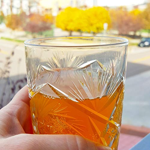 Deluxe Kombucha Starter Kit with SCOBY and Bottles