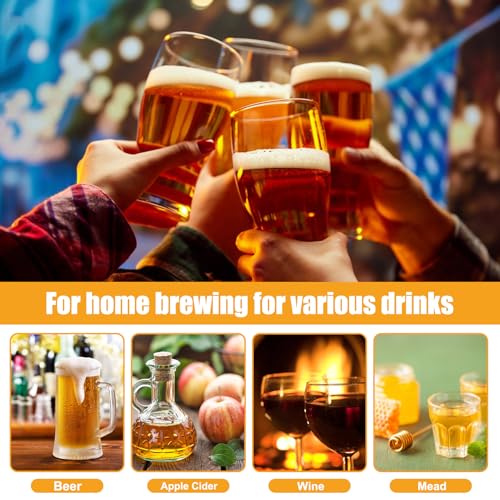 Large Reusable Brew Bags - 3 Pack, Mesh Filter