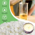 Ohcans Candle Making Kit Supplies for Beginners, Soy Wax DIY Candle Making for Adults, with 900ml Candle Make Pouring Pot, Candle Wicks, Wicks Sticker, Wicks Holder,Soy Candle Wax