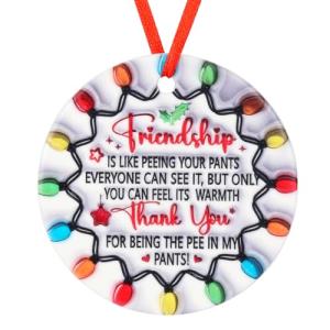 Christmas Ornaments Gifts Friendship Gifts for Friends Funny Christmas Ornaments for Women Men Thank You Gift Cute Ceramics Hanging Personalized Round Ornament Birthday Gift Outdoor Decorations