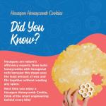 BāKIT Box Hexagon Honeycomb Sugar Cookie Decorating Kit – STEM Baking Gift for Kids Ages 5–12, Homeschool Geometry & Bee Habitat Activities, Educational Cookie Kit for Boys & Girls