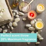 Soy Wax Candle Making Kit Supplies With Wax Melter, Natural Candle Wax For Candle Making, DIY Art&Crafts Kit for Adults,Beginner, Including 2lbs Soy Wax Flakes, Electric Stove,CandleWick,Melting Pot