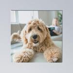 Personalized PhotoBook 8x8" Hard Cover - Print Your own Memory PhotoBook, Photo Gifts (20 Photos)