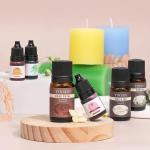 Candle Making Kit for Beginners, Soy Wax Candle Making Supplies with Natural Soy Wax, Essential Oils, Melting Pot, Candle Dye & Candle wicks ,Wick placing tube ,DIY Home Craft Gift for Adults & Women