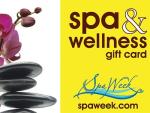 $15 Spa & Wellness eGift Card