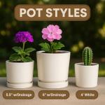 Personalized Flower Pot for Grandma's Garden
