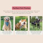 Custom Pet Line Art Mug for Animal Lovers