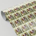 Personalized Photo Gift Wrap for Every Occasion