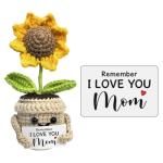 Cute Mini Birthday Gifts for Mom