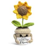 Cute Mini Birthday Gifts for Mom