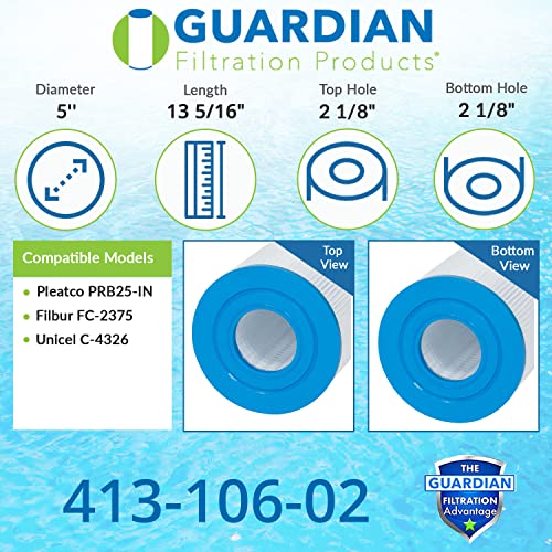 Guardian Pool & Spa Cartridge Filter Replacement - 2 Pack