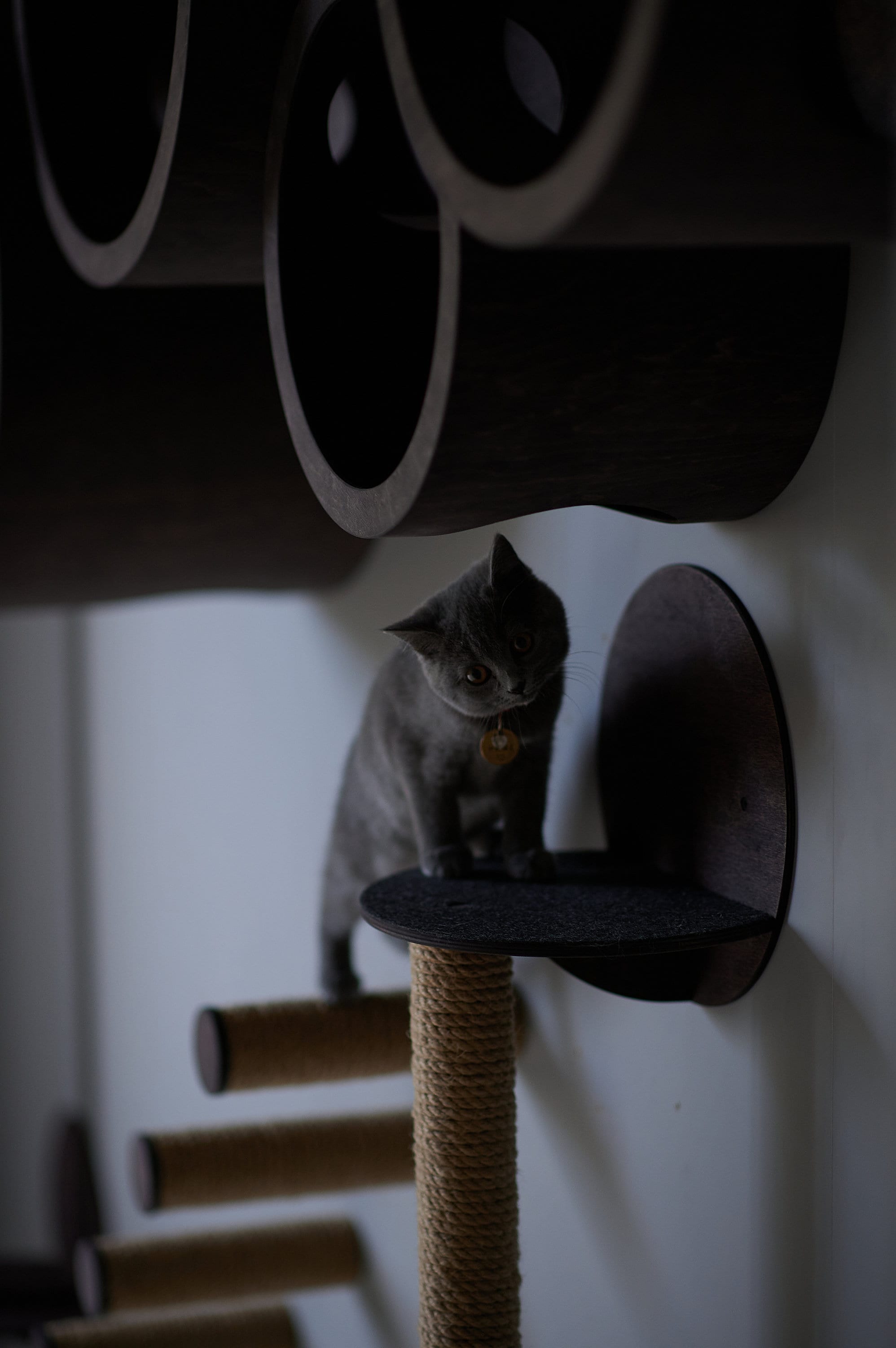 Modern Cat Wall Tree and Scratcher
