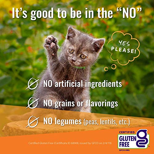 Vital Essentials Freeze-Dried Cat Treats