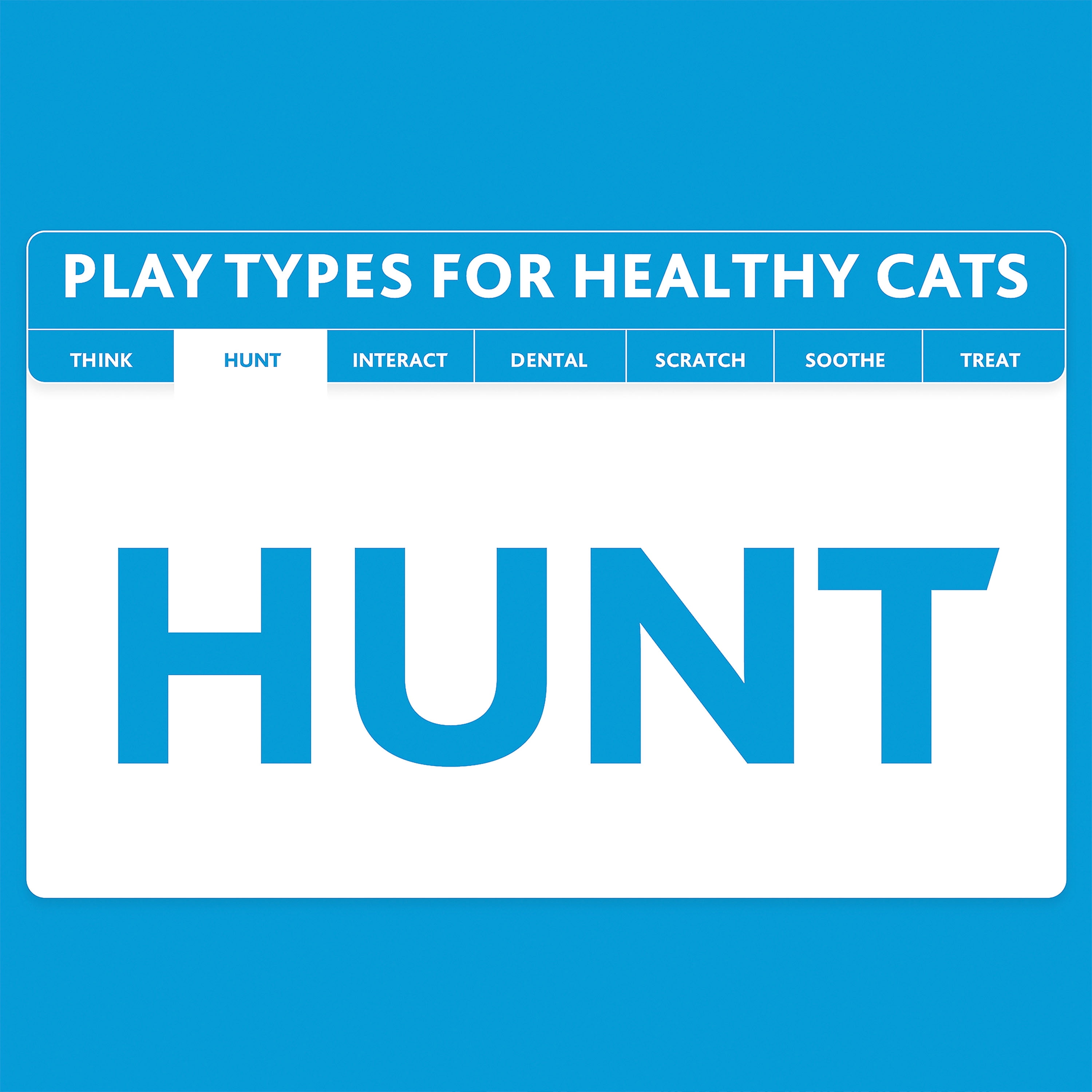 Vibrant Life Catnip Bandit Toy Set, 3 Pack