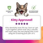 SmartyKat Interactive Scratch 'N Spin Cat Toy