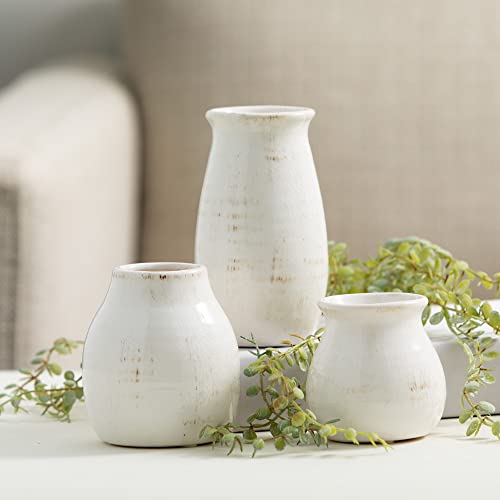 Sullivans Farmhouse Bud Vases for Home Decor