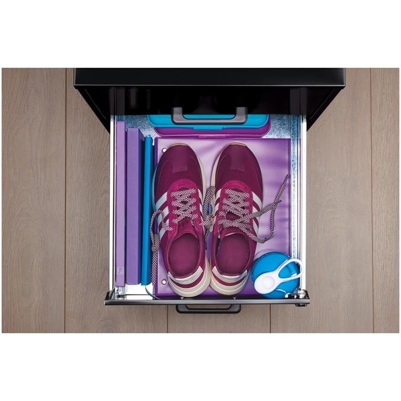 Black 2-Drawer Letter File Cabinet by Scranton & Co