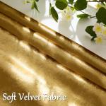 Set of 2 Soft Velvet Gold Throw Pillow Covers