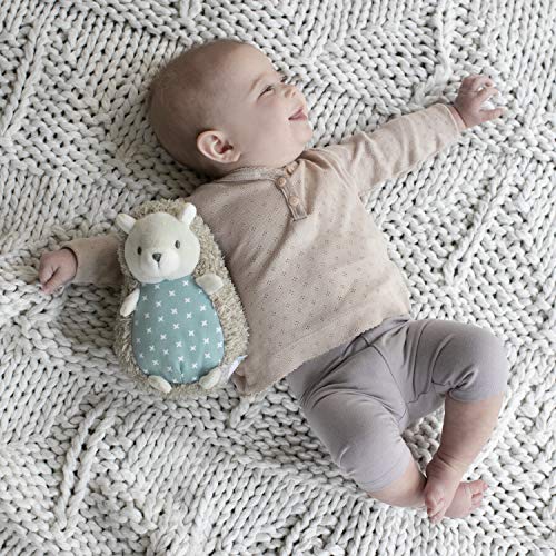 Soft Plush Squeak Toy - Farrow The Hedgehog