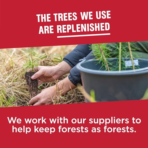 Vanity Fair Everyday Disposable Paper Napkins, 200 Count