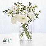 Yankee Candle Macintosh Large Jar – 150 Hour Burn