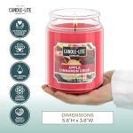 Apple Cinnamon Crisp Luxury Scented Candle, 18 oz